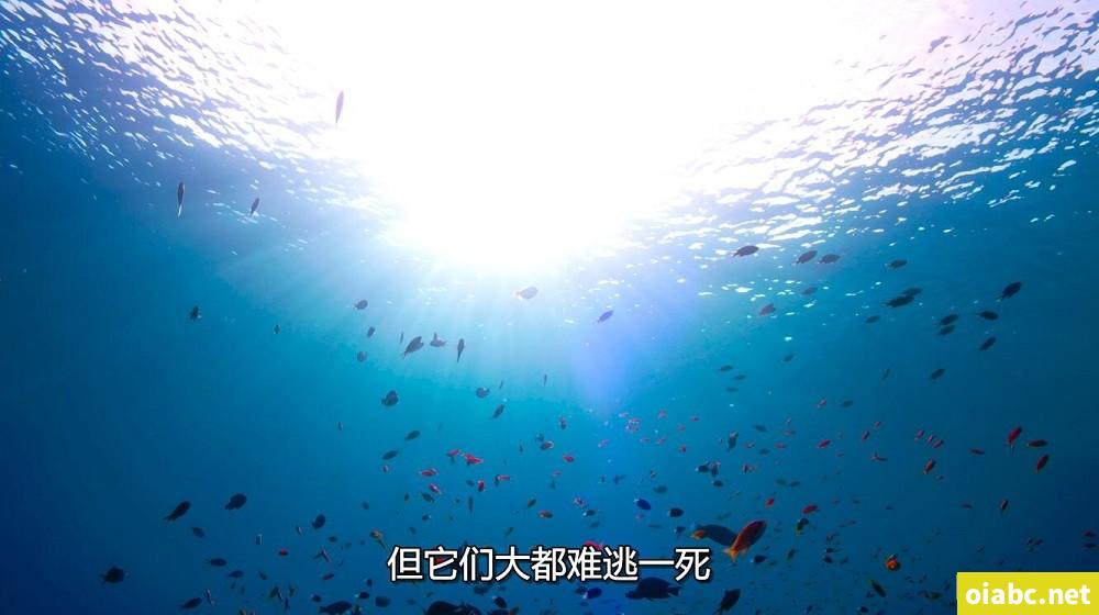 爱之刃剧照1